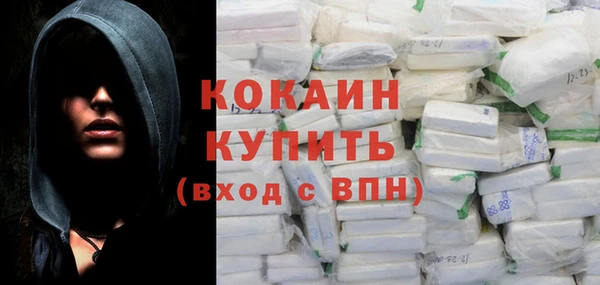 шишки Аркадак