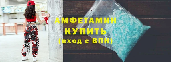 шишки Аркадак