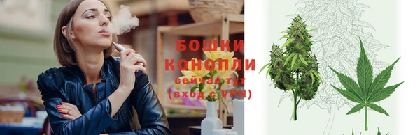 шишки Аркадак