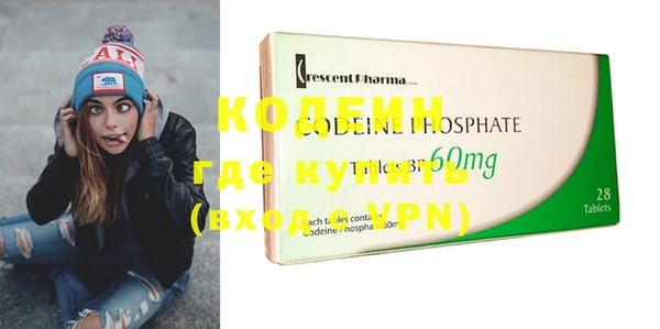 шишки Аркадак
