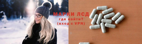 шишки Аркадак