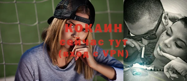шишки Аркадак