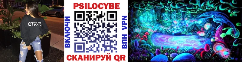 Купить Дудинка Псилоцибиновые грибы Cubensis